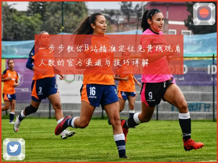 一步步教你B站精准定位免费线观看人数的官方渠道与技巧详解