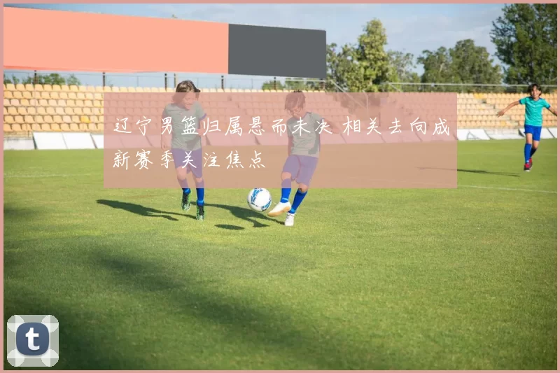 辽宁男篮归属悬而未决 相关去向成新赛季关注焦点