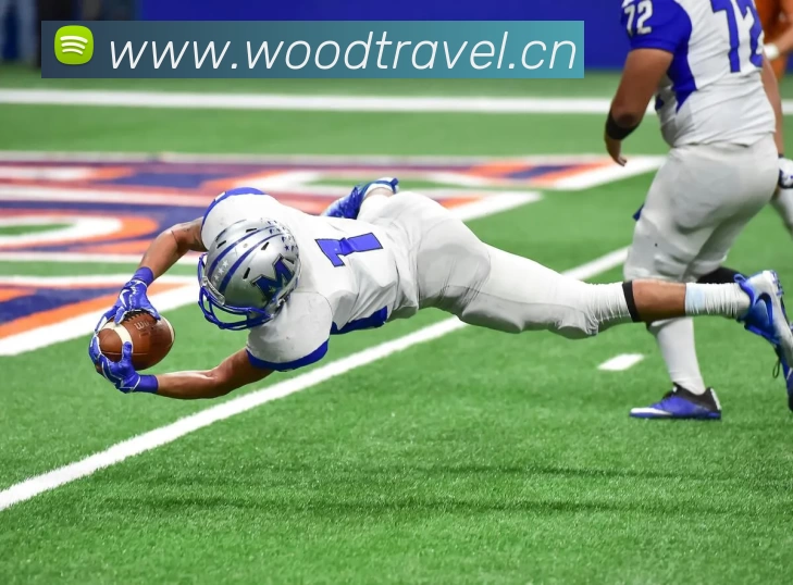 多媒体互动体验